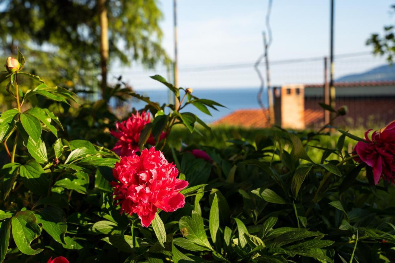 Apartment Stella Marina Rabac Buitenkant foto