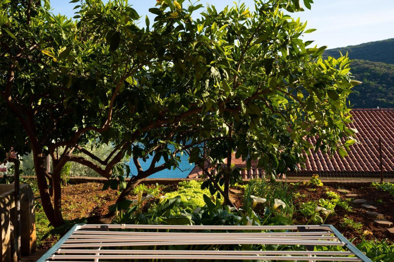 Apartment Stella Marina Rabac Buitenkant foto